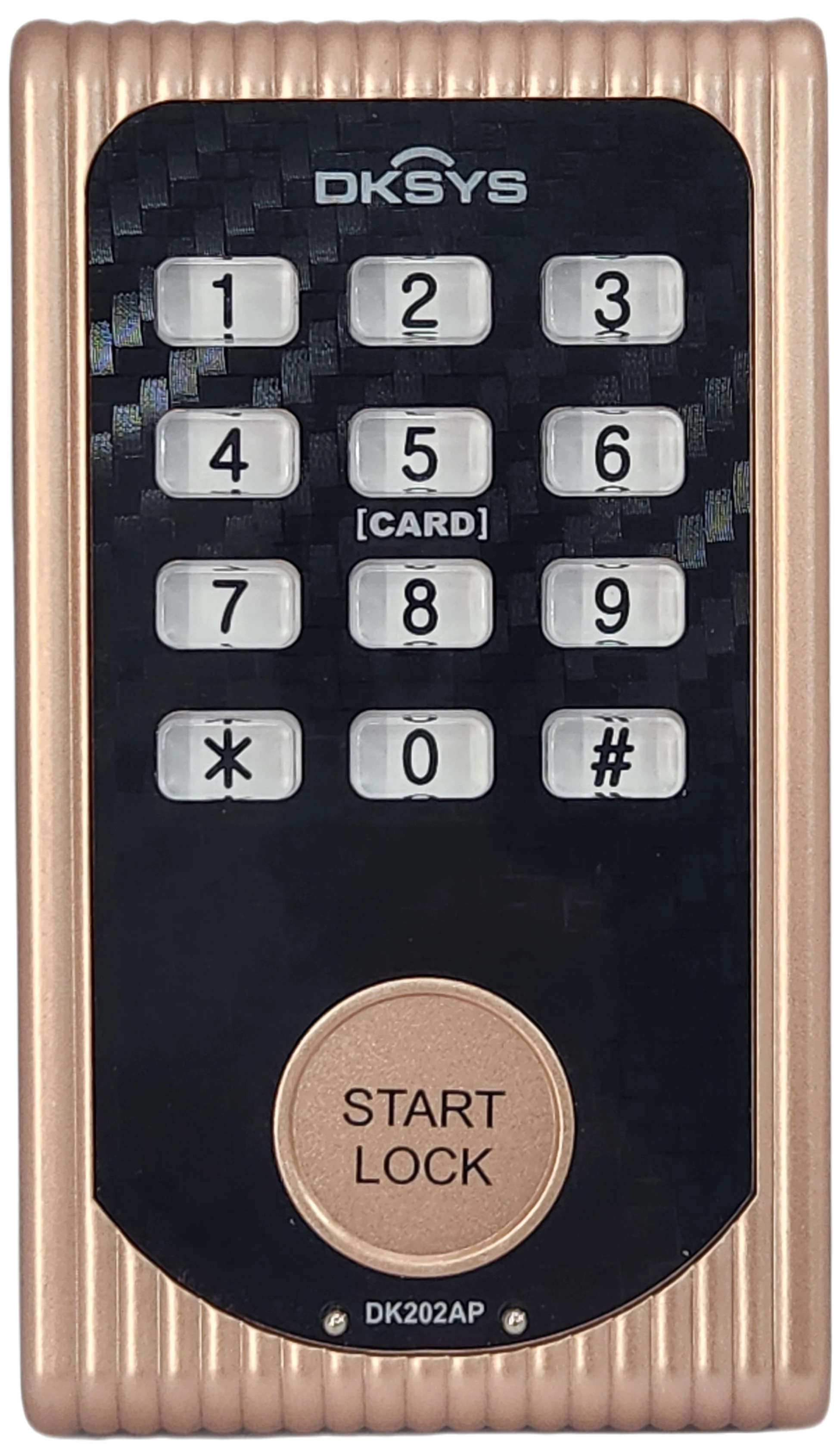 DK202AP